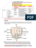 Topic 10 Reproduction in Plants Revised Roysci Notes 2021