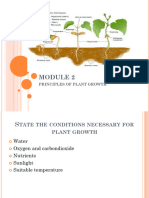 Module 21 - Principles of Plant Growth - 230508 - 161625