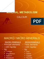 Calcium & Phosphorus Dental