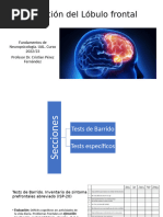 Evaluación Del Lóbulo Frontal - Tagged