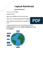 The Tropical Rainforest Notes