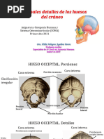Principales Detalles de Los Huesos Del Cráneo