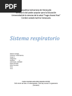 Sistema Respiratorio