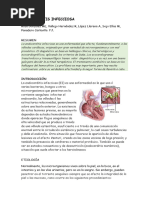 Endocarditis Infecciosa: Introducción