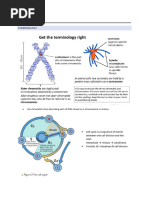 IB Biology - Cell Division