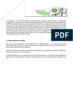 U3-Fisiología de La Germinación