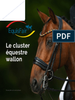 Business Plan Centre Equestre