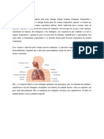 Nova Síntese SP 13 - Revisão de Sistema Respiratório - Doença Pulmonar Obstrutiva Crônica