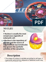 NUCLEUS