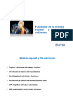 Tema 23. Funciones Médula Espinal y SN Autónomo