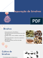 Depuração de Bivalves