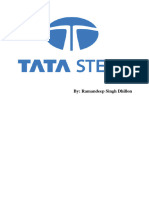 TATA Steel Financial Model 