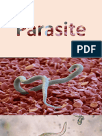 Parasite