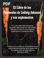 El Libro de Los Protocolos de Ludwig Johnson y Sus Suplementos