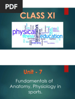 Chapter 7 Anatomy and Physiology