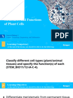 Plant Cell - Student's