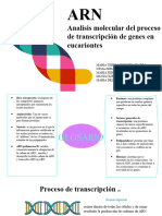 Expo Transcripcion