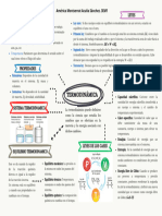 Organizador Grafico de Termodinámica