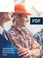 PDF Proteccion Civil Cambios