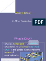 What Is DNA