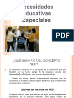 Necesidades Educativas Especiales