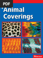 Animal Coverings