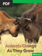 Animals Change As They Grow