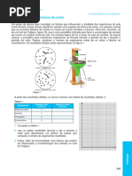 Ectic8 Ficha Formativa Fatores Abioticos