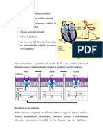 Agentes Utilizados en Arritmias Cardiacas