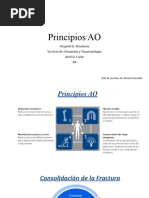 Principios AO