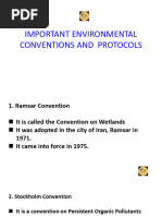 Environment Convention and Protocols