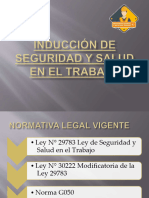 Induccindeseguridadysaludeneltrabajoppt 220815072429 03dd57c2