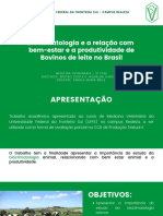 Bioclimatologia e A Relação Com A Produtividade Leiteira No Brasil