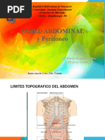 Pared Abdominal Mio