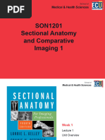 ECU SON1101 Week 01 Lecture 1