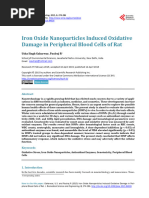 Iron Oxide Nanoparticles Induced Oxidative Damage