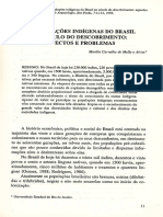 Populaçoes Rndígenas No Século Descobrimento: E Problemas: AS DO DO Aspectos