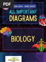 All Important Diagrams Class 10 (Prashant Kirad) PDF