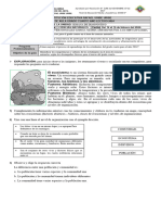 Diagnostica Naturales 4° 2024