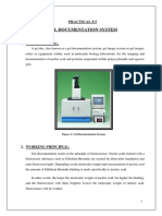 Gel Documentation System