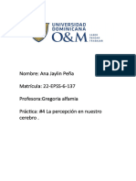 Nombre: Ana Jaylin Peña Matrícula: 22-EPSS-6-137 Profesora:Gregoria Alfamia Práctica: #4 La Percepción en Nuestro Cerebro