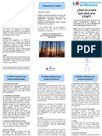 Neumologia Que Es Cpap NML NML DPT 01.pds F