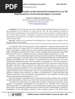 The Role of The Principles of International Environmental Law in The Implementation of Environmental Impact Assessment