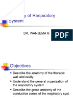 1.anatomy of Respiratory System