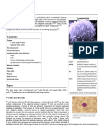 Lymphocyte - Wiki