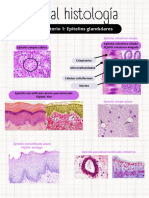 Parcial Histología