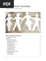 Guía de Estudio. Sociología: Profesora Fabiola Flores Castro