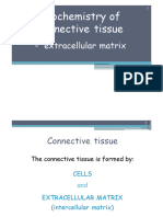 Lecture Biochemistry of Connective Tissue