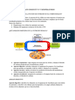 Documento Sin Título