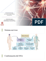 01) Farmacología Del SNA I-2021